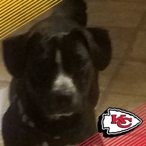 Meet your Posher, Jeffery